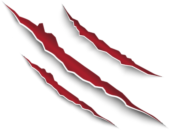 TOP QUALITY FIREWORKS