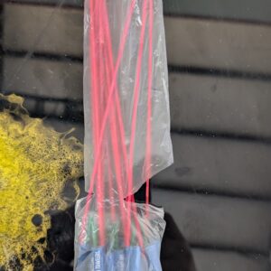 Whistling Moon Travelers (Single Pack)