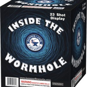 Inside The Wormhole