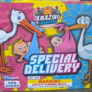 Special Delivery AF163